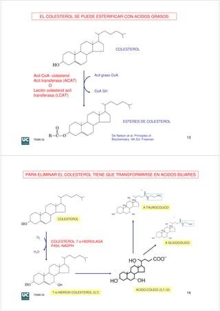 EL COLESTEROL SE PUEDE ESTERIFICAR CON ACIDOS GRASOS




                                                   COLESTEROL




   Acil CoA- colesterol                Acil graso CoA
   Acil transferasa (ACAT)
            O
   Lecitin colesterol acil             CoA SH
   transferasa (LCAT)




                                                        ESTERES DE COLESTEROL


                                                 De Nelson et al. Principles of
   TEMA 24                                       Biochemistry. 4th Ed. Freeman
                                                                                               13




PARA ELIMINAR EL COLESTEROL TIENE QUE TRANSFORMARSE EN ACIDOS BILIARES




                                                                       A TAUROCOLICO


                 COLESTEROL




    O2
             COLESTEROL 7 α HIDROLASA                                               A GLICOCOLICO
             P450, NADPH
   H2O




                 OH
                                                                  ACIDO COLICO (3,7,12)
              7 α HIDROXI COLESTEROL (3,7)                                                     14
   TEMA 24
 