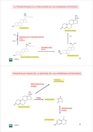 LA PROGESTERONA ES LA PRECURSORA DE LAS HORMONAS ESTEROIDES




            COLESTEROL

                                                                             PROGESTERONA


 2O2
                                                                                  DH
            OXIDASA DE FUNCION MIXTA
            (P450)
2H2O        2 NADPH

                           OH                                                     CH3   O
                      HO

                                             DESMOLASA
                                             NADPH



                                                                               PREGNENOLONA
              20,22 DIHIDROCOLESTEROL
  TEMA 24
                                                                                              15




PRINCIPALES PASOS DE LA SINTESIS DE LAS HORMONAS ESTEROIDES


                                                               CORTISOL
                                                               ALDOSTERONA

                                Hidroxilaciones
                                (P450)




                                      P450
                                                  ANDROGENOS




        PROGESTERONA
                                                                       AROMATASA
                                                                       (P450)




                                                  ESTROGENOS



  TEMA 24
                                                                                              16
 