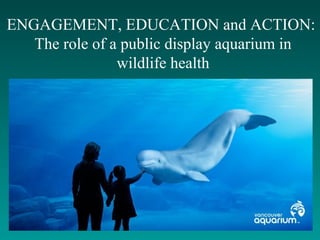 ENGAGEMENT, EDUCATION and ACTION:
The role of a public display aquarium in
wildlife health
 