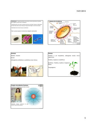 15/01/2014

Endotoxinas – Lipopolissacarídeos de envoltório celular produzido por bactérias
gram-negativas, tóxicos para o hospedeiro.

Fatores de virulência

• Liberadas após a lise celular, causando sintomas como febre, diarréia e inflamações.
Em altas doses pode causar morte por choque hemorrágico e necrose de tecidos
• Toxicidade muito menor do que as exotoxinas.

• Bem caracterizadas em Escherichia, Shigella e Salmonella.

Fonte: Microbiologia
de Brock

http://blogdapharmacia.blogspot.com/2009/05/vacina-contra-e-coli.html

http://tudo-sobre-tifo-e-colera.blogspot.com/2009/11/febre-tifode.html

Animais

Plantas

Modelo - Homem
Rumen

Também é um hospedeiro, albergando muitos microorganismos

Utilização de antibióticos e probióticos mais intensa

Filosfera, rizoplano e endofíticos
Benéficos – filosfera, rizosfera / rizoplano e
Raízes.
Fitopatógenos

http://www.aschoonerofscience.com/tag/bacteria/

http://www.animalcorner.co.uk/farm/cows/cow_anatomy.html

http://www.ecoshuttle.net/index.php/eco-program/

Projeto microbioma humano
Mais células microbianas do que células humanas
https://commonfund.nih.gov/hmp/

https://commonfund.nih.gov/hmp/

Obesidade, alergias, problemas de pele,
artrites e várias outras doenças

https://commonfund.nih.gov/hmp/

5

 