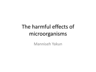 The harmful effects of microorganisms Manniseh Yakun 