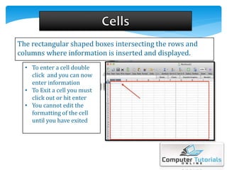 The rectangular shaped boxes intersecting the rows and
columns where information is inserted and displayed.
• To enter a cell double
click and you can now
enter information
• To Exit a cell you must
click out or hit enter
• You cannot edit the
formatting of the cell
until you have exited
 