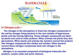 b) Nitrogen cycle :-
The nitrogen in the atmosphere is fixed into nitrogen compounds in
the soil by nitrogen fixing bacteria in the root nodules of leguminous
plants and also during lightning. These nitrogen compounds are taken
by plants and used to make proteins. When animals eat plants they also
get proteins. When plants and animals die, bacteria convert the proteins
into nitrogen compounds like nitrites and nitrates. Other bacteria
convert these nitrogen compounds back into nitrogen in the
atmosphere.
Nitrogen is an essential component of biological molecules like
proteins, nucleic acids and some vitamins.
WATER CYCLE
 