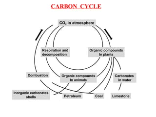 CARBON CYCLE
0011
Organic compounds
In animals
CoalPetroleum
Carbonates
in water
Limestone
Inorganic carbonates
shells
CO2 in atmosphere
Organic compounds
In plants
Respiration and
decomposition
Combustion
 
