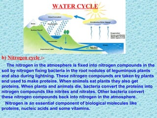 b) Nitrogen cycle :-
The nitrogen in the atmosphere is fixed into nitrogen compounds in the
soil by nitrogen fixing bacteria in the root nodules of leguminous plants
and also during lightning. These nitrogen compounds are taken by plants
and used to make proteins. When animals eat plants they also get
proteins. When plants and animals die, bacteria convert the proteins into
nitrogen compounds like nitrites and nitrates. Other bacteria convert
these nitrogen compounds back into nitrogen in the atmosphere.
Nitrogen is an essential component of biological molecules like
proteins, nucleic acids and some vitamins.
WATER CYCLE
 