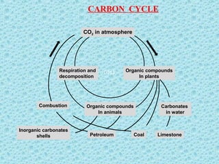 CARBON CYCLE
0011
Organic compounds
In animals
CoalPetroleum
Carbonates
in water
Limestone
Inorganic carbonates
shells
CO2 in atmosphere
Organic compounds
In plants
Respiration and
decomposition
Combustion
 
