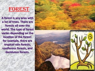 FOREST
A forest is any area withA forest is any area with
a lot of trees. There area lot of trees. There are
forests all over theforests all over the
world. The type of forestworld. The type of forest
varies depending on thevaries depending on the
location of the forest:location of the forest:
for example, there arefor example, there are
tropical rain forests,tropical rain forests,
coniferous forests, andconiferous forests, and
deciduous forests.deciduous forests.
 