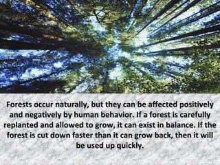 Forests occur naturally, but they can be affected positivelyForests occur naturally, but they can be affected positively
and negatively by human behavior. If a forest is carefullyand negatively by human behavior. If a forest is carefully
replanted and allowed to grow, it can exist in balance. If thereplanted and allowed to grow, it can exist in balance. If the
forest is cut down faster than it can grow back, then it willforest is cut down faster than it can grow back, then it will
be used up quickly.be used up quickly.
 