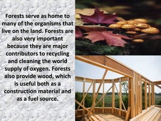 Forests serve as home toForests serve as home to
many of the organisms thatmany of the organisms that
live on the land. Forests arelive on the land. Forests are
also very importantalso very important
because they are majorbecause they are major
contributors to recyclingcontributors to recycling
and cleaning the worldand cleaning the world
supply of oxygen. Forestssupply of oxygen. Forests
also provide wood, whichalso provide wood, which
is useful both as ais useful both as a
construction material andconstruction material and
as a fuel source.as a fuel source.
 