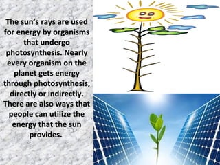 The sun’s rays are usedThe sun’s rays are used
for energy by organismsfor energy by organisms
that undergothat undergo
photosynthesis. Nearlyphotosynthesis. Nearly
every organism on theevery organism on the
planet gets energyplanet gets energy
through photosynthesis,through photosynthesis,
directly or indirectly.directly or indirectly.
There are also ways thatThere are also ways that
people can utilize thepeople can utilize the
energy that the sunenergy that the sun
provides.provides.
 
