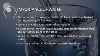 IMPORTANCE OF WATER
• The importance of water to the life of plants can be emphasized
best by enlisting its functions:
• Water is the main constituent of protoplasm.
• It is the solvent through which mineral salts are transported from
one part of the plant to the other.
• Various metabolic reactions take place in a medium containing
water.
• It acts as a reactant in numerous metabolic reactions.
18
 