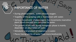 IMPORTANCE OF WATER
• During photosynthesis, water releases oxygen.
• Turgidity of the growing cells is maintained with water.
• Various movements of plant organs live movements insensitive
plant (touch-me-not) are controlled by water.
• The growth of the cells during elongation phase is mainly
dependent on absorption of water.
• Metabolic end product of respiration is water.
• Places having plenty of water have more biodiversity.
19
 