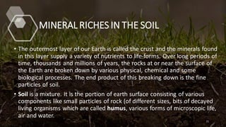 MINERAL RICHES IN THE SOIL
• The outermost layer of our Earth is called the crust and the minerals found
in this layer supply a variety of nutrients to life-forms. Over long periods of
time, thousands and millions of years, the rocks at or near the surface of
the Earth are broken down by various physical, chemical and some
biological processes. The end product of this breaking down is the fine
particles of soil.
• Soil is a mixture. It is the portion of earth surface consisting of various
components like small particles of rock (of different sizes, bits of decayed
living organisms which are called humus, various forms of microscopic life,
air and water.
21
 