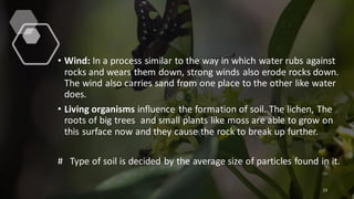• Wind: In a process similar to the way in which water rubs against
rocks and wears them down, strong winds also erode rocks down.
The wind also carries sand from one place to the other like water
does.
• Living organisms influence the formation of soil. The lichen, The
roots of big trees and small plants like moss are able to grow on
this surface now and they cause the rock to break up further.
# Type of soil is decided by the average size of particles found in it.
23
 