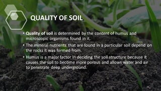 QUALITY OF SOIL
• Quality of soil is determined by the content of humus and
microscopic organisms found in it.
• The mineral nutrients that are found in a particular soil depend on
the rocks it was formed from.
• Humus is a major factor in deciding the soil structure because it
causes the soil to become more porous and allows water and air
to penetrate deep underground.
24
 