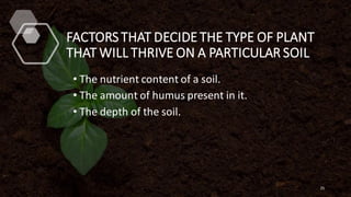 FACTORS THAT DECIDE THE TYPE OF PLANT
THAT WILL THRIVE ON A PARTICULAR SOIL
• The nutrient content of a soil.
• The amount of humus present in it.
• The depth of the soil.
25
 