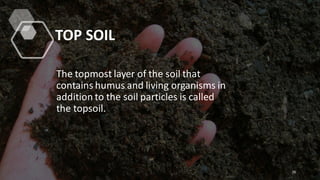 TOP SOIL
The topmost layer of the soil that
contains humus and living organisms in
addition to the soil particles is called
the topsoil.
26
 