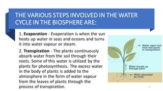 THE VARIOUS STEPS INVOLVED IN THE WATER
CYCLE IN THE BIOSPHERE ARE:
1. Evaporation - Evaporation is when the sun
heats up water in seas and oceans and turns
it into water vapour or steam.
2. Transpiration - The plants continuously
absorb water from the soil through their
roots. Some of this water is utilized by the
plants for photosynthesis. The excess water
in the body of plants is added to the
atmosphere in the form of water vapour
from the leaves of plants through the
process of transpiration. 31
 