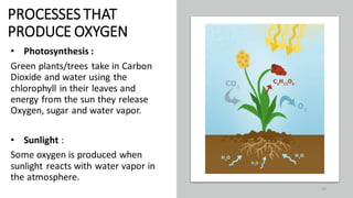 PROCESSES THAT
PRODUCE OXYGEN
• Photosynthesis :
Green plants/trees take in Carbon
Dioxide and water using the
chlorophyll in their leaves and
energy from the sun they release
Oxygen, sugar and water vapor.
• Sunlight :
Some oxygen is produced when
sunlight reacts with water vapor in
the atmosphere.
47
 