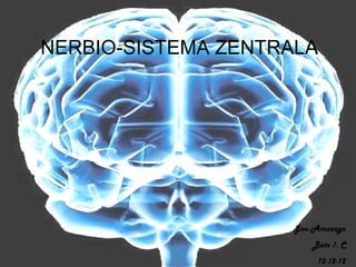 NERBIO-SISTEMA ZENTRALA




                    Jon Amezaga
                       Batx 1. C
                        12-12-12
 
