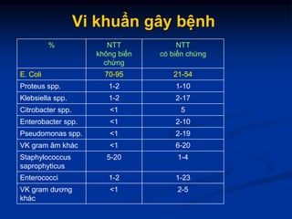Vi khuẩn gây bệnh
% NTT
không biến
chứng
NTT
có biến chứng
E. Coli 70-95 21-54
Proteus spp. 1-2 1-10
Klebsiella spp. 1-2 2-17
Citrobacter spp. <1 5
Enterobacter spp. <1 2-10
Pseudomonas spp. <1 2-19
VK gram âm khác <1 6-20
Staphylococcus
saprophyticus
5-20 1-4
Enterococci 1-2 1-23
VK gram dương
khác
<1 2-5
 