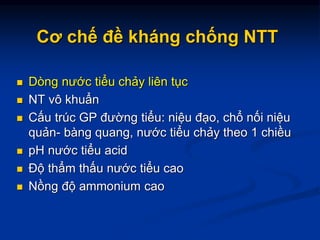 Cơ chế đề kháng chống NTT
 Dòng nước tiểu chảy liên tục
 NT vô khuẩn
 Cấu trúc GP đường tiểu: niệu đạo, chổ nối niệu
quản- bàng quang, nước tiểu chảy theo 1 chiều
 pH nước tiểu acid
 Độ thẩm thấu nước tiểu cao
 Nồng độ ammonium cao
 