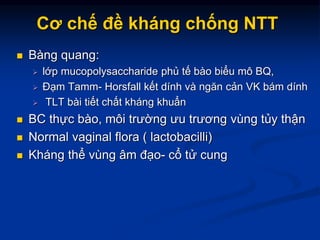 Cơ chế đề kháng chống NTT
 Bàng quang:
 lớp mucopolysaccharide phủ tế bào biểu mô BQ,
 Đạm Tamm- Horsfall kết dính và ngăn cản VK bám dính
 TLT bài tiết chất kháng khuẩn
 BC thực bào, môi trường ưu trương vùng tủy thận
 Normal vaginal flora ( lactobacilli)
 Kháng thể vùng âm đạo- cổ tử cung
 