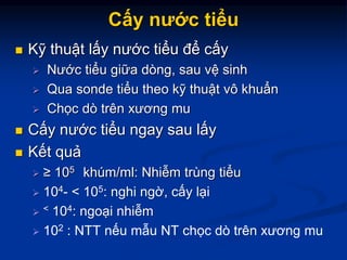 Cấy nước tiểu
 Kỹ thuật lấy nước tiểu để cấy
 Nước tiểu giữa dòng, sau vệ sinh
 Qua sonde tiểu theo kỹ thuật vô khuẩn
 Chọc dò trên xương mu
 Cấy nước tiểu ngay sau lấy
 Kết quả
 ≥ 105 khúm/ml: Nhiễm trùng tiểu
 104- < 105: nghi ngờ, cấy lại
 < 104: ngoại nhiễm
 102 : NTT nếu mẫu NT chọc dò trên xương mu
 