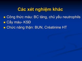 Các xét nghiệm khác
 Công thức máu: BC tăng, chủ yếu neutrophils
 Cấy máu- KSĐ
 Chức năng thận: BUN, Créatinine HT
 