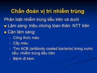 Chẩn đoán vị trí nhiễm trùng
Phân biệt nhiễm trùng tiểu trên và dưới
 Lâm sàng: triệu chứng tòan thân: NTT trên
 Cận lâm sàng:
 Công thức máu
 Cấy máu
 Tìm ACB (antibody coated bacteria) trong nước
tiểu: nhiễm trùng tiểu trên
 Bệnh đi kèm
 