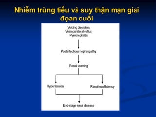 Nhiễm trùng tiểu và suy thận mạn giai
đọan cuối
 