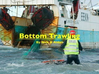 Bottom Trawling
    By Nick & Aidan
 