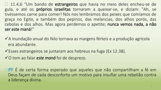 � 11.4,6 “Um bando de estrangeiros que havia no meio deles encheu-se de
gula, e até os próprios israelitas tornaram a queixar-se, e diziam: "Ah, se
tivéssemos carne para comer! Nós nos lembramos dos peixes que comíamos de
graça no Egito, e também dos pepinos, das melancias, dos alhos porós, das
cebolas e dos alhos. Mas agora perdemos o apetite; nunca vemos nada, a não
ser este maná!”
A inundação anual do Nilo tornava as margens férteis e a produção agrícola
era abundante.
Esses estrangeiros se juntaram aos hebreus na fuga (Ex 12.38).
O tom ao falar este maná foi de desprezo.
�PF É de certa forma esperado que aqueles que não compartilham a fé em
Deus façam de cada desconforto um motivo para insuflar uma rebelião contra
a liderança divina.
3
 