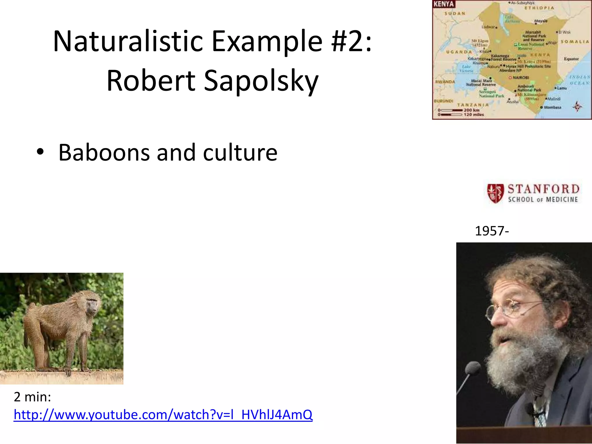 Naturalistic Example #2:
        Robert Sapolsky

   • Baboons and culture

                                             1957-




2 min:
http://www.youtube.com/watch?v=l_HVhlJ4AmQ
 