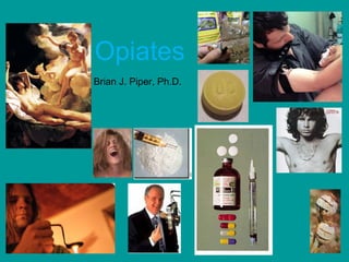 Opiates
Brian J. Piper, Ph.D.
 