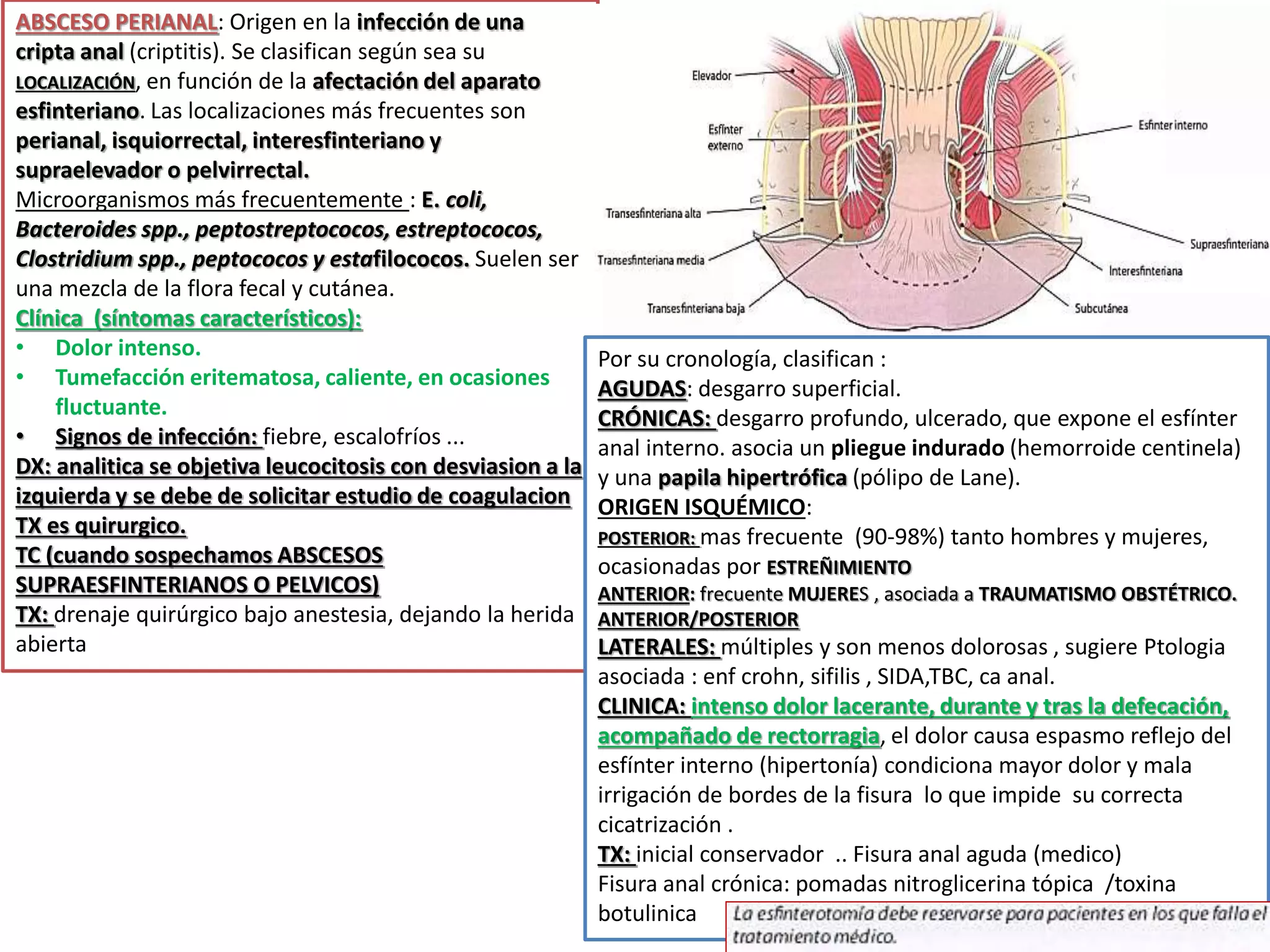 14 patologia ano rectal | PPTX