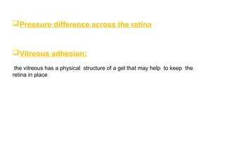 Physiology Of Retina in ophthalmology.pptx