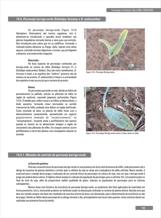 Tecnologia e Produção: Soja e Milho 2008/2009
Figura 14.4. Percevejo Barriga-verde.
FUNDAÇÃO
MS
Figura 14.5. Percevejos Barriga-verde mortos e danos leves no milho.
FUNDAÇÃO
MS
Os percevejos barriga-verde (Figura 14.4)
(Hemiptera: Heteroptera) são insetos sugadores, isto é,
alimentam-se introduzindo o aparelho bucal (estiletes) nas
plantas hospedeiras retirando destas a seiva para sua nutrição.
Eles introduzem uma saliva que irá se solidificar, formando a
chamada bainha alimentar ou flange. Após, injetam uma saliva
aquosa, contendo enzimas digestivas e toxinas, que pré-digerem
oalimento,ocorrendoentãoaingestão.
Descrição
Há duas espécies de percevejos conhecidos por
barriga-verde na cultura do milho Dichelops furcatus (F.) e
Dichelops melacanthus (Dallas). Elas são muito semelhantes. D.
furcatus é maior e os espinhos dos “ombros” (pronoto) são da
mesma cor do pronoto. D. melacanthus é menor e a extremidade
dosespinhosémaisescuradoqueorestantedopronoto.
Danos
Ospercevejosqueestãonosolo,devidoaohábitode
permanecerem na palhada, atacam as plântulas de milho na
região do caulículo, causando pequenas perfurações (Figura
14.5).Àmedidaqueomilhocresceeasfolhassedesenvolvem,a
lesão aumenta, formando áreas necrosadas no sentido
transversal da folha, podendo esta dobrar na região danificada.
Como resultado do dano, as plantas de milho ficam com o
desenvolvimento comprometido, apresentando um aspecto
popularmente chamado de "encharutamento" ou
"enrosetamento", havendo ainda o perfilhamento das plantas
quando os insetos ao se alimentarem atingem a região de
crescimento das plântulas de milho. Em ataques severos ocorre
perfilhamento e morte das plantas com conseqüente redução no
estande.
a)Controlequímico
Umadascaracterísticasdopercevejobarriga-verdeéasuapresençaemáreatotaldalavourademilho,ondepermanecesobo
abrigo de touceiras de plantas daninhas e torrões após a colheita da soja no verão até a emergência do milho safrinha. Neste sentido, é
essencial para o manejo desta praga a realização de um controle eficaz de percevejos na cultura da soja, uma vez que o barriga-verde é
pragasecundáriadestacultura.Oobjetivodestemanejoéareduçãodapopulaçãodepercevejosparaasafrinha.Por,istopulverizaçõesno
final do ciclo da soja, além de proporcionar melhor qualidade de grãos, reduzem as populações de percevejos para as culturas
subseqüentes.
Nestas áreas com histórico de ocorrência do percevejo barriga-verde, os produtores têm feito aplicações de inseticidas em
forma preventiva, isto é, misturando produtos ao herbicida usado na dessecação (utilizada no sistema de plantio direto), decisão esta que
deve ser tomada sempre com base nos resultados de uma boa vistoria da área a ser dessecada, para a determinação da ocorrência ou não
de pragas. Devido ao hábito deste percevejo de se abrigar durante o dia, principalmente nas horas mais quentes, estas vistorias devem ser
realizadasnasprimeirashorasdamanhã.
14.4. Percevejo barriga-verde Dichelops furcatus e D. melacanthus
14.4.1. Métodos de controle do percevejo barriga-verde
159
 