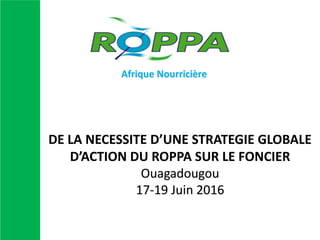 DE LA NECESSITE D’UNE STRATEGIE GLOBALE
D’ACTION DU ROPPA SUR LE FONCIER
Ouagadougou
17-19 Juin 2016
Afrique Nourricière
 