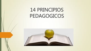 14 PRINCIPIOS
PEDAGOGICOS
 