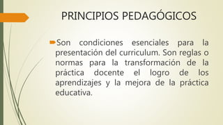PRINCIPIOS PEDAGÓGICOS
Son condiciones esenciales para la
presentación del curriculum. Son reglas o
normas para la transformación de la
práctica docente el logro de los
aprendizajes y la mejora de la práctica
educativa.
 