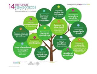 14 principios pedagogicos y foda