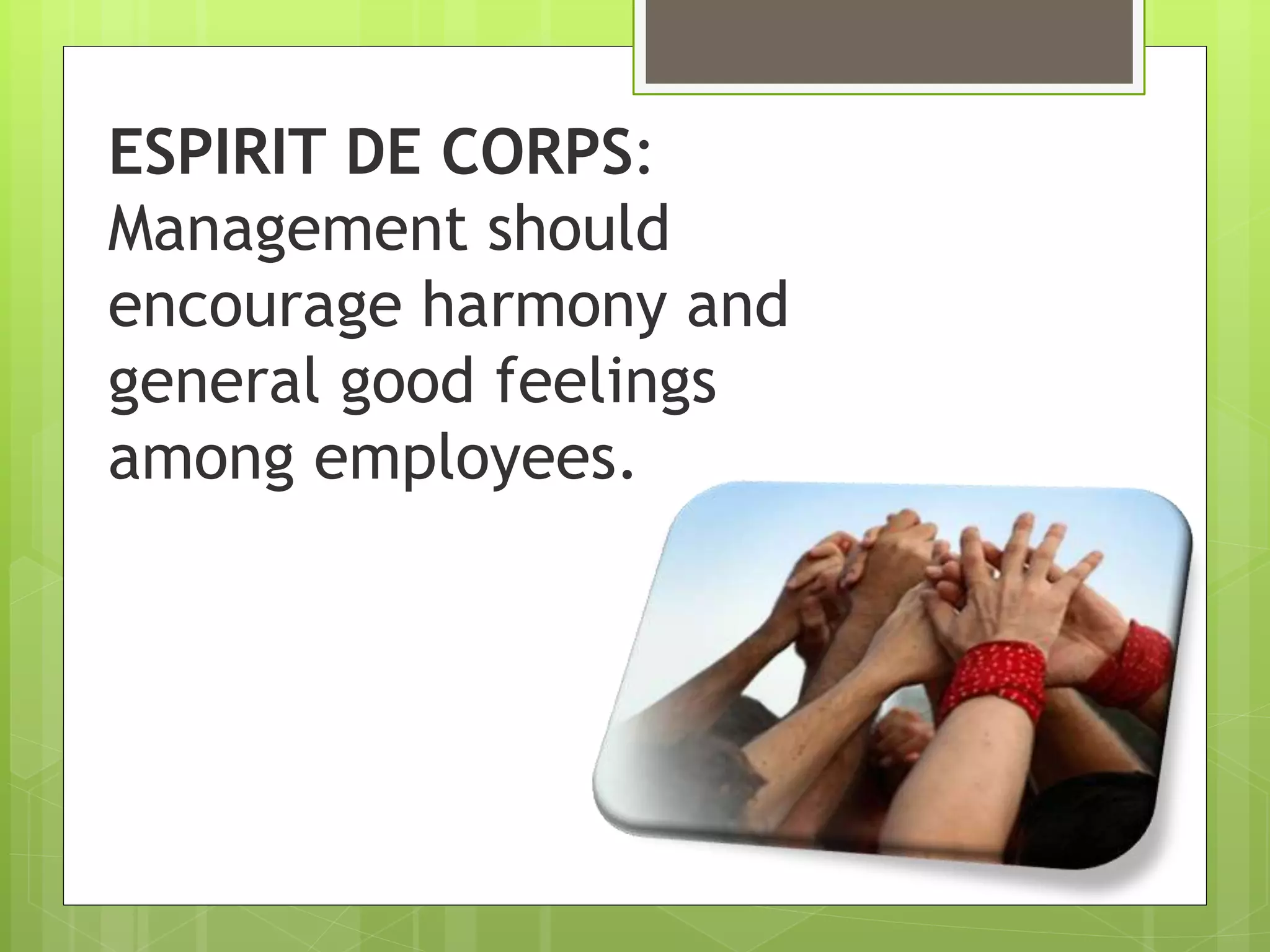 ESPIRIT DE CORPS:
Management should
encourage harmony and
general good feelings
among employees.
 