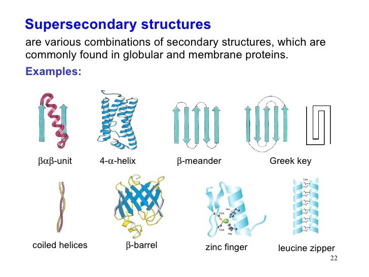super secondary structure of protein ppt