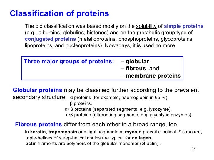 14 proteins