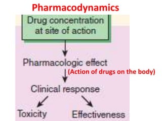 Pharmacodynamics
(Action of drugs on the body)
 