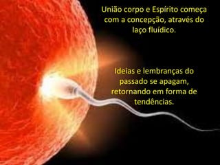 União corpo e Espírito começa
com a concepção, através do
laço fluídico.
Ideias e lembranças do
passado se apagam,
retornando em forma de
tendências.
 