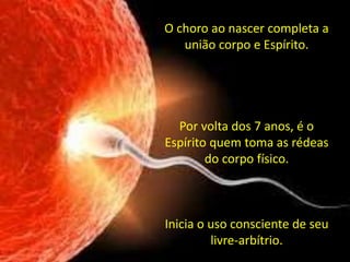 O choro ao nascer completa a
união corpo e Espírito.
Por volta dos 7 anos, é o
Espírito quem toma as rédeas
do corpo físico.
Inicia o uso consciente de seu
livre-arbítrio.
 