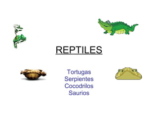 REPTILES
Tortugas
Serpientes
Cocodrilos
Saurios
 