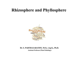 Rhizosphere and Phyllosphere
Dr. S. PARTHASARATHY, M.Sc. (Agri)., Ph.D.
Assistant Professor (Plant Pathology)
 
